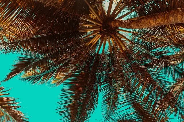 Cómo encontrar el hotel ideal para tus vacaciones de verano